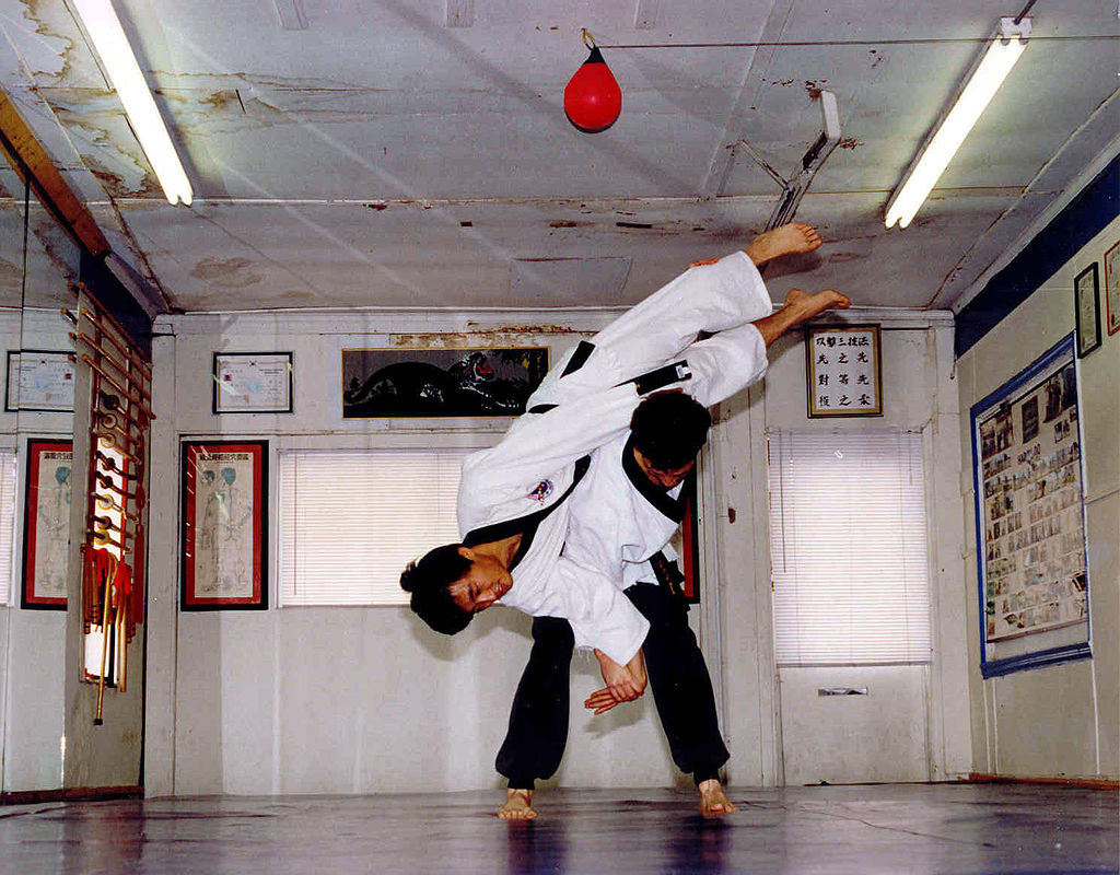 HAPKIDO EN GETAFE, HAPKIDO GETAFE, HAPKIDO SUR MADRID, HAPKIDO MADRID SUR, HAPKIDO EN MADRID, 